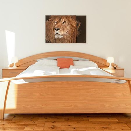 Comfortable 3Br Shared Apart. - Suitable For Long Stays Wien Eksteriør billede